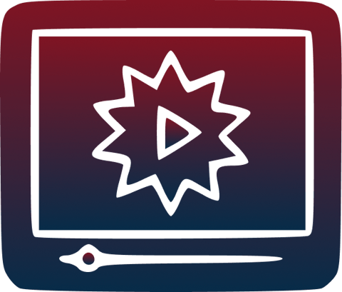 Voiceover & Audio Selection (Optional)