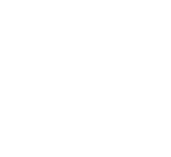 The Four Levels of Editing manuscript review section floral background accent